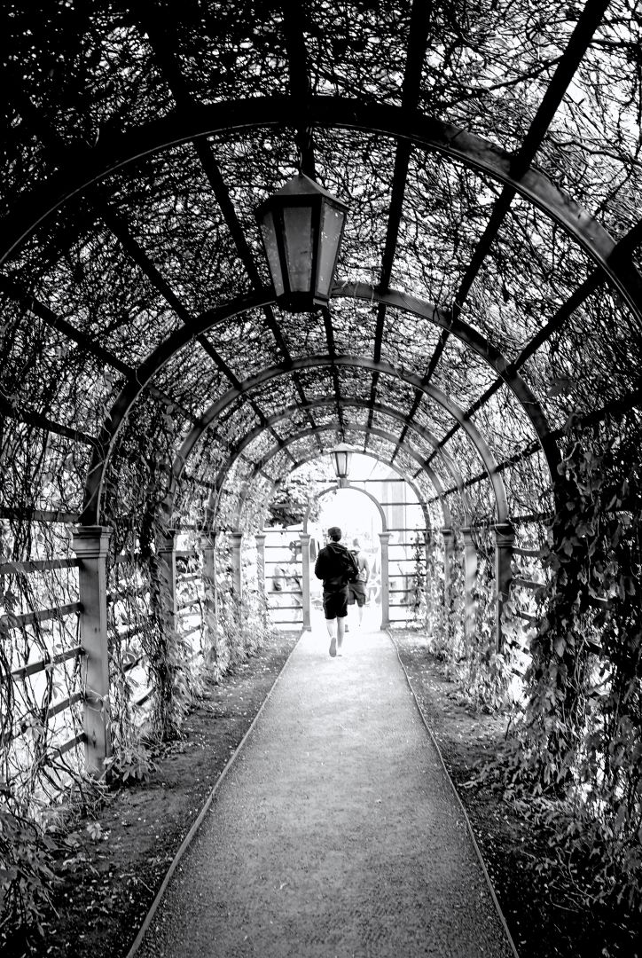 Die estnische Hauptstadt Tallinn