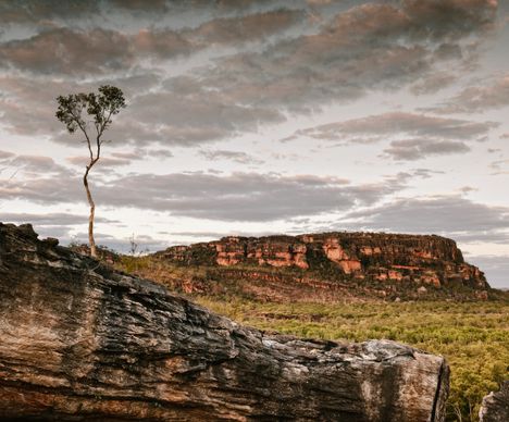 Kakadu National Park