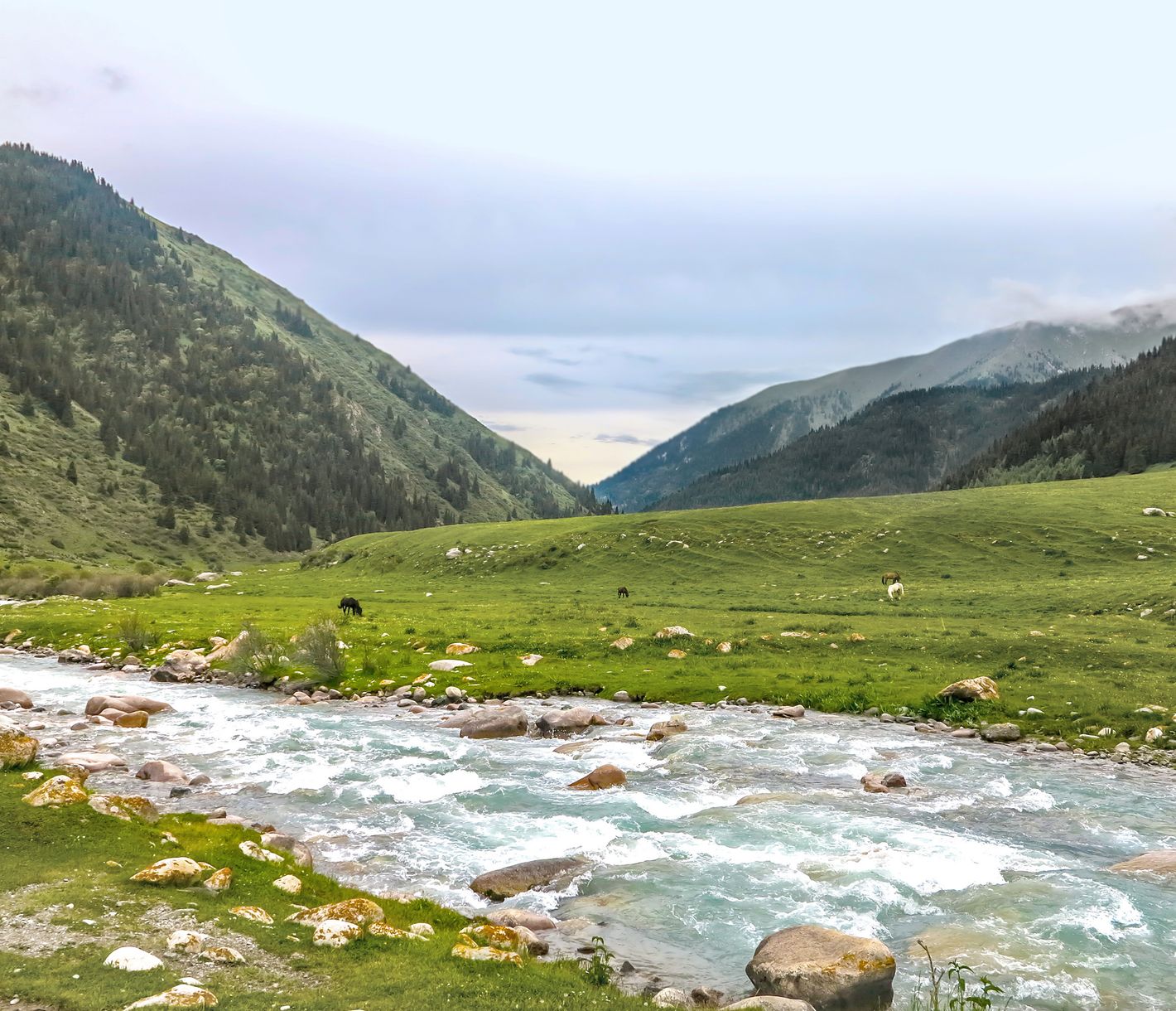 Plongez au cœur de la nature sauvage kirghize dans les gorges de Grigorievka.