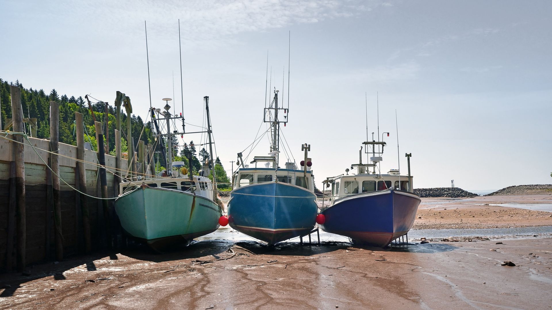 Wo ist denn das Wasser hin?