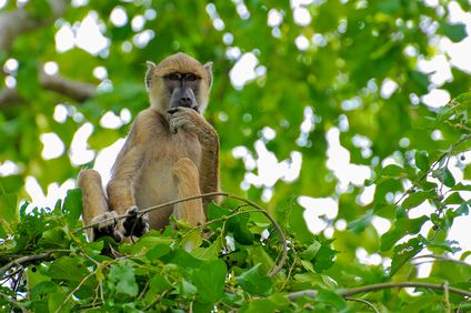 9. Bild der Rundreise