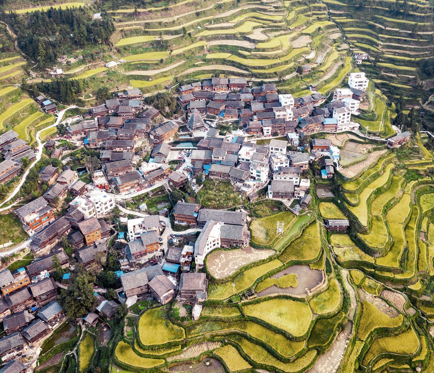 In den terrassierten Hängen von Longji wird seit Jahrhunderten Reis angepflanzt.