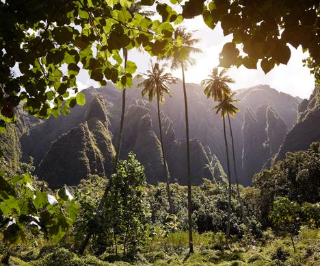 Nuku Hiva, la principale île des Marquises, dont les richesses naturelles et culturelles méritent le détour