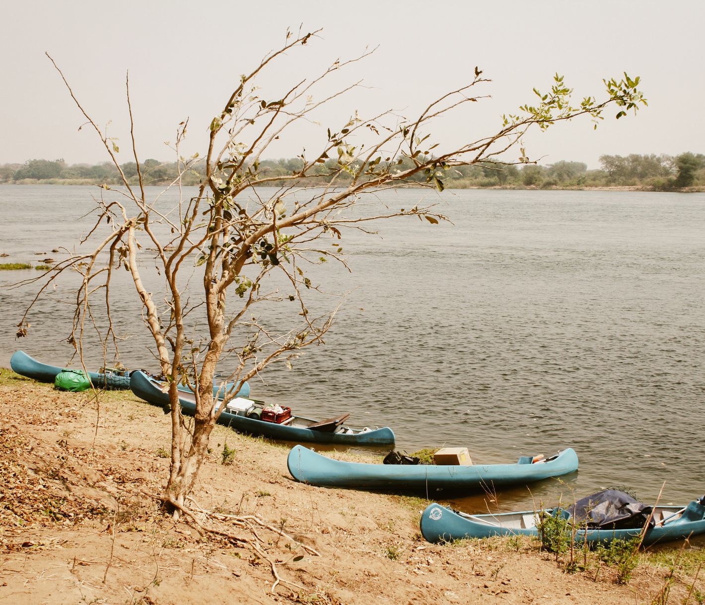 Abenteuerlicher Kanu-Ausflug auf dem Sambesi-Fluss