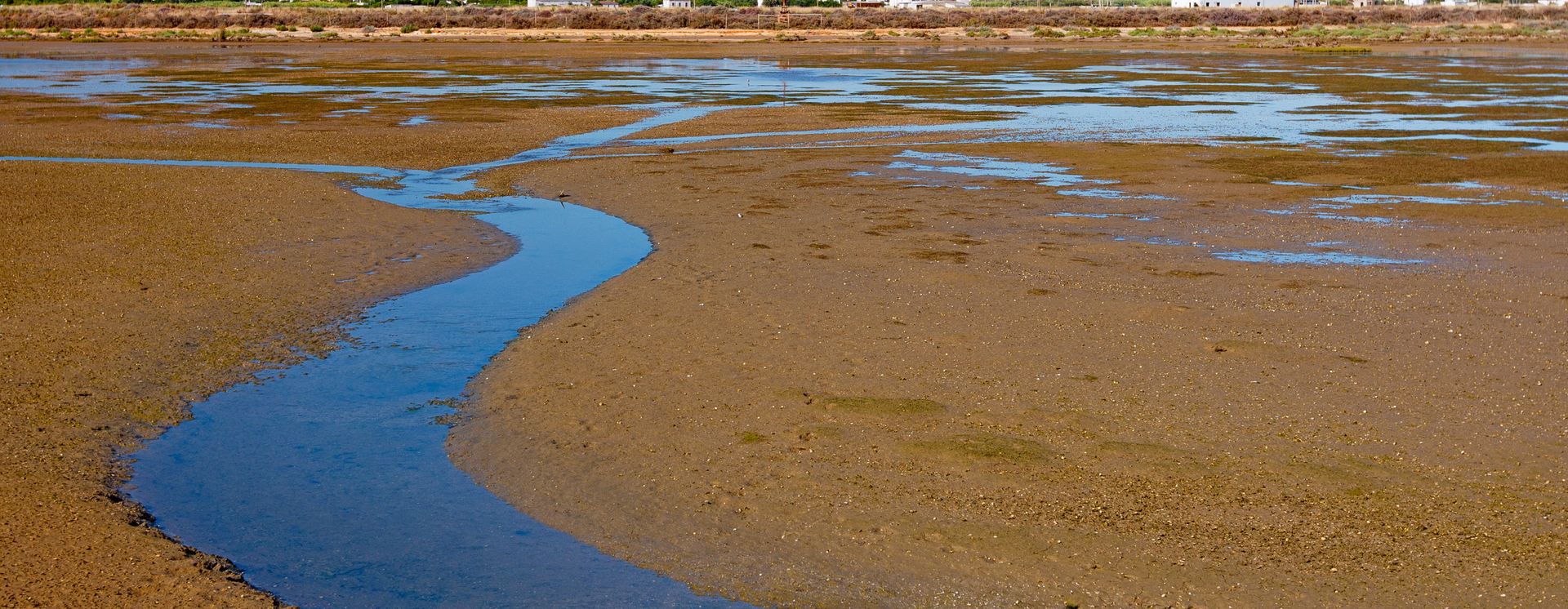 Ria Formosa Natural Park