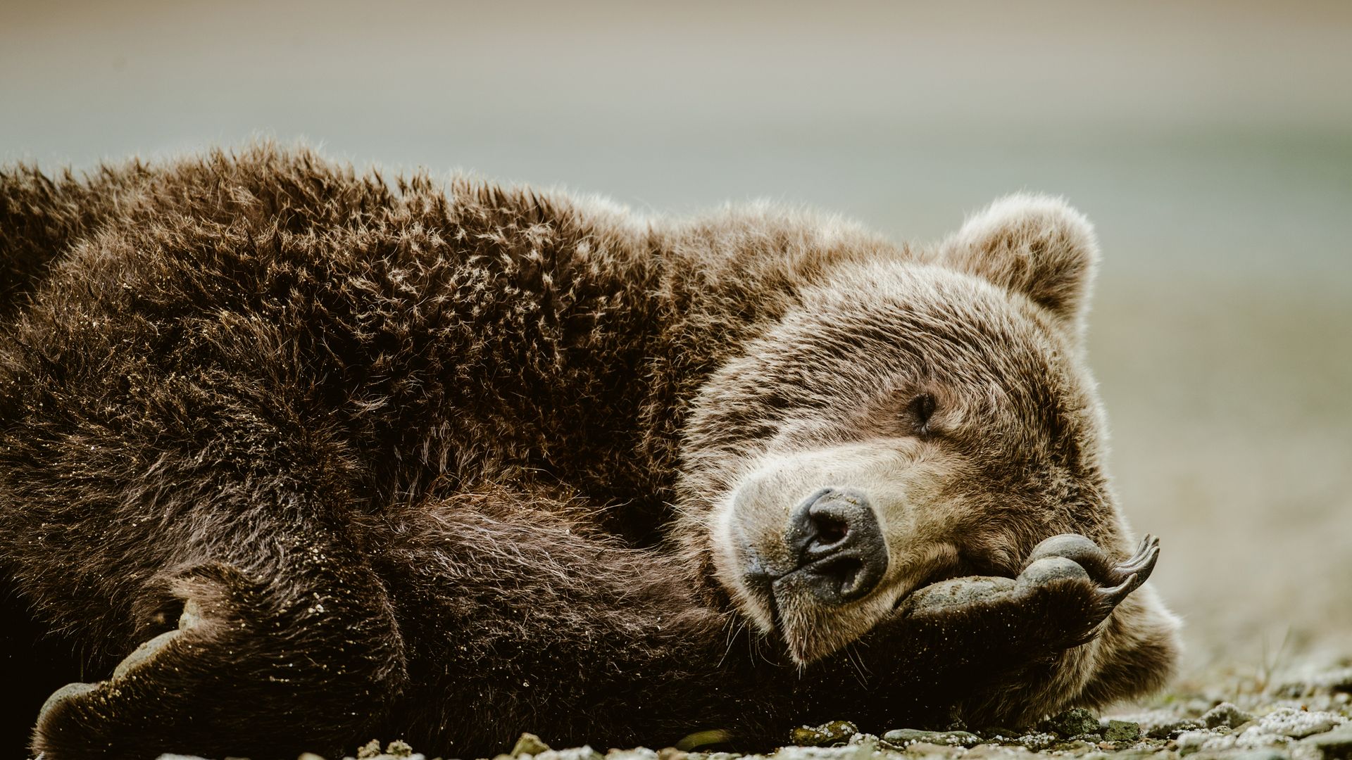 Ganz schön anstrengend