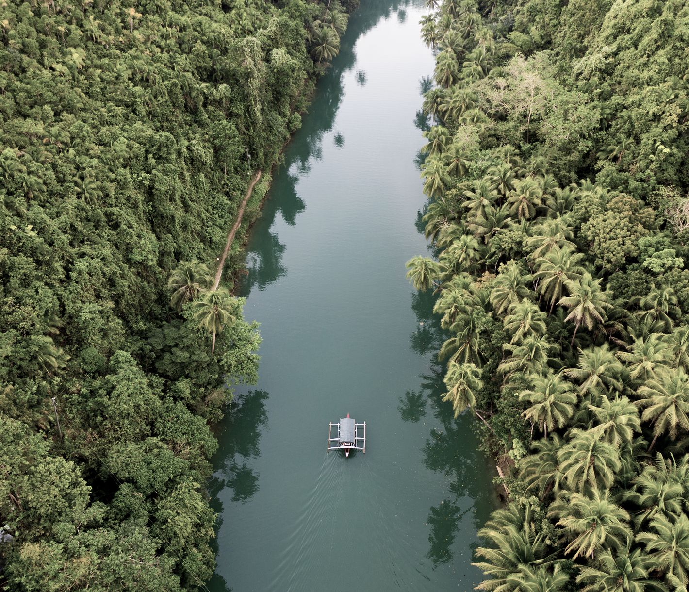 Lors d’une croisière sur la rivière Loboc à Bohol, vous serez plongé dans l’ambiance philippine.