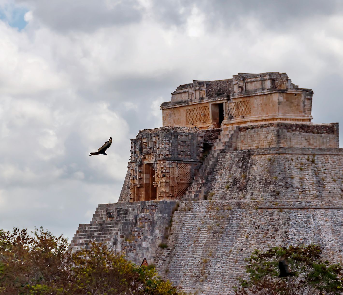 Majestätisch dominiert die Adivino-Pyramide das Gelände von Uxmal.