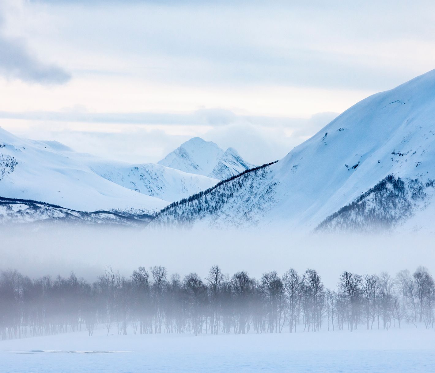 Panoramablick auf die Lyngen-Alpen