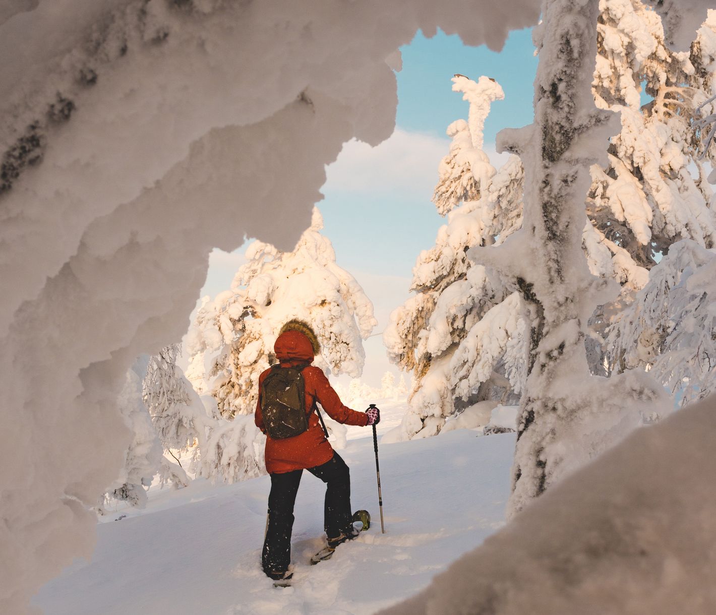 Panorama-Schneeschuhwanderung auf den Gipfel