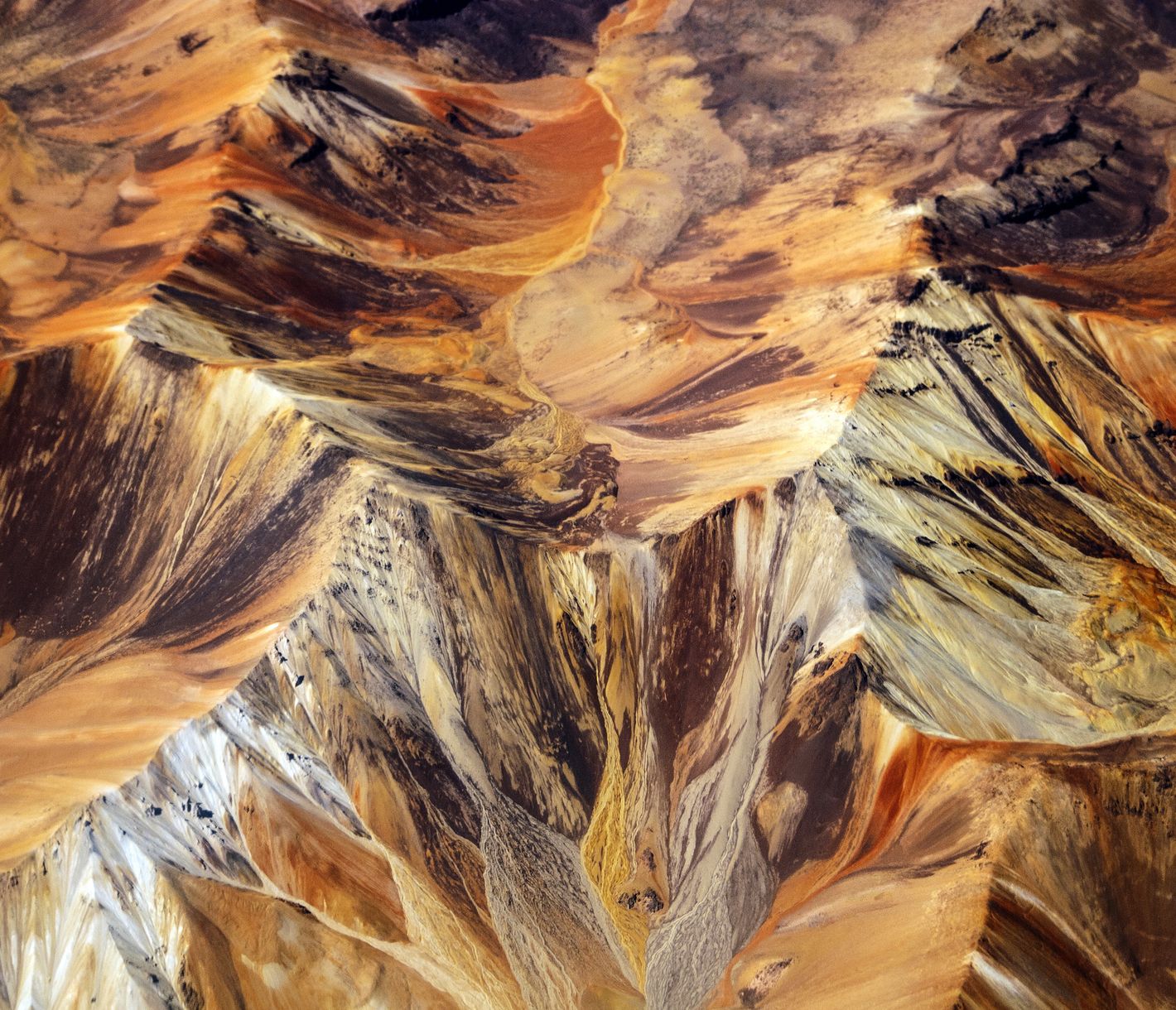 Ein Kunstwerk der Natur!