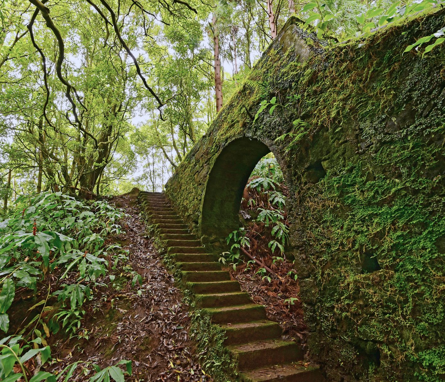 Aquädukte säumen schmale Wege im Waldgebiet des «Janela do Inferno».