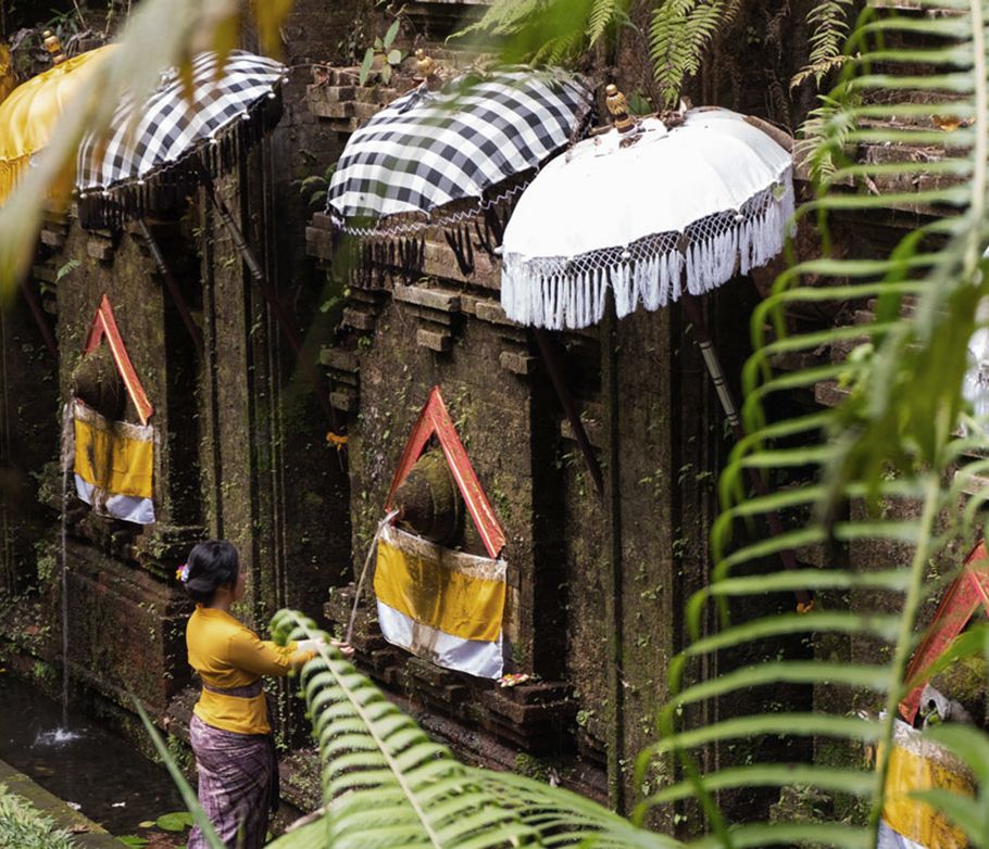 Eine wiedergeborene Seele