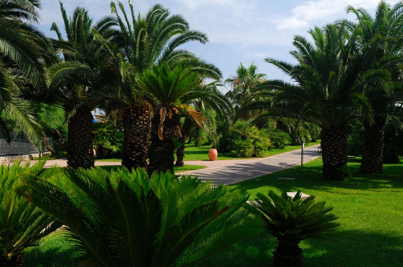 Garten
