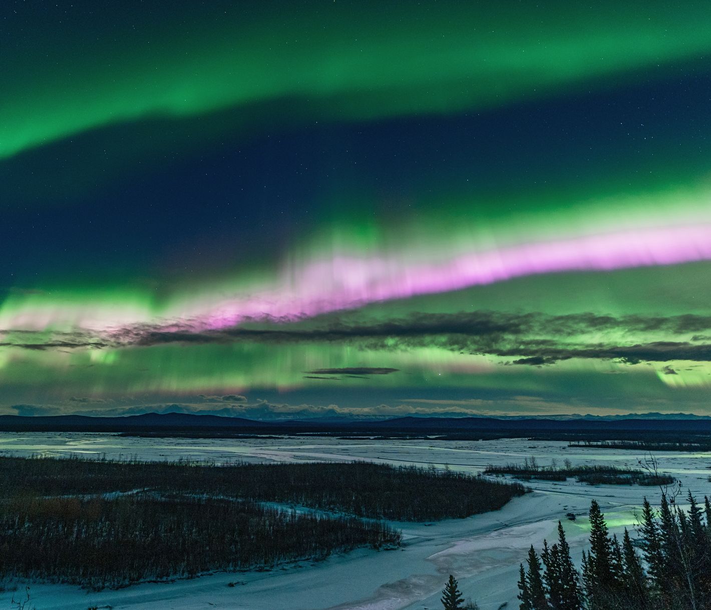 Hier erstrahlen sie nochmals in ihrer vollen Farbenpracht.