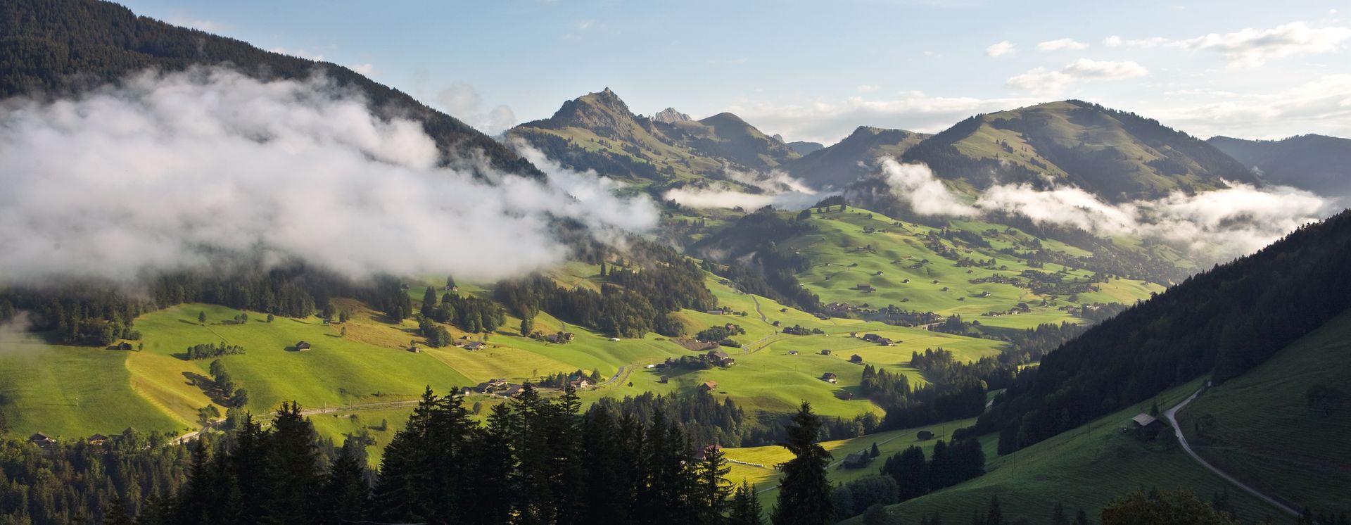 Naturpark Gruyères Pays d'Enhaut / © Switzerland Tourism, Marcus Gyger