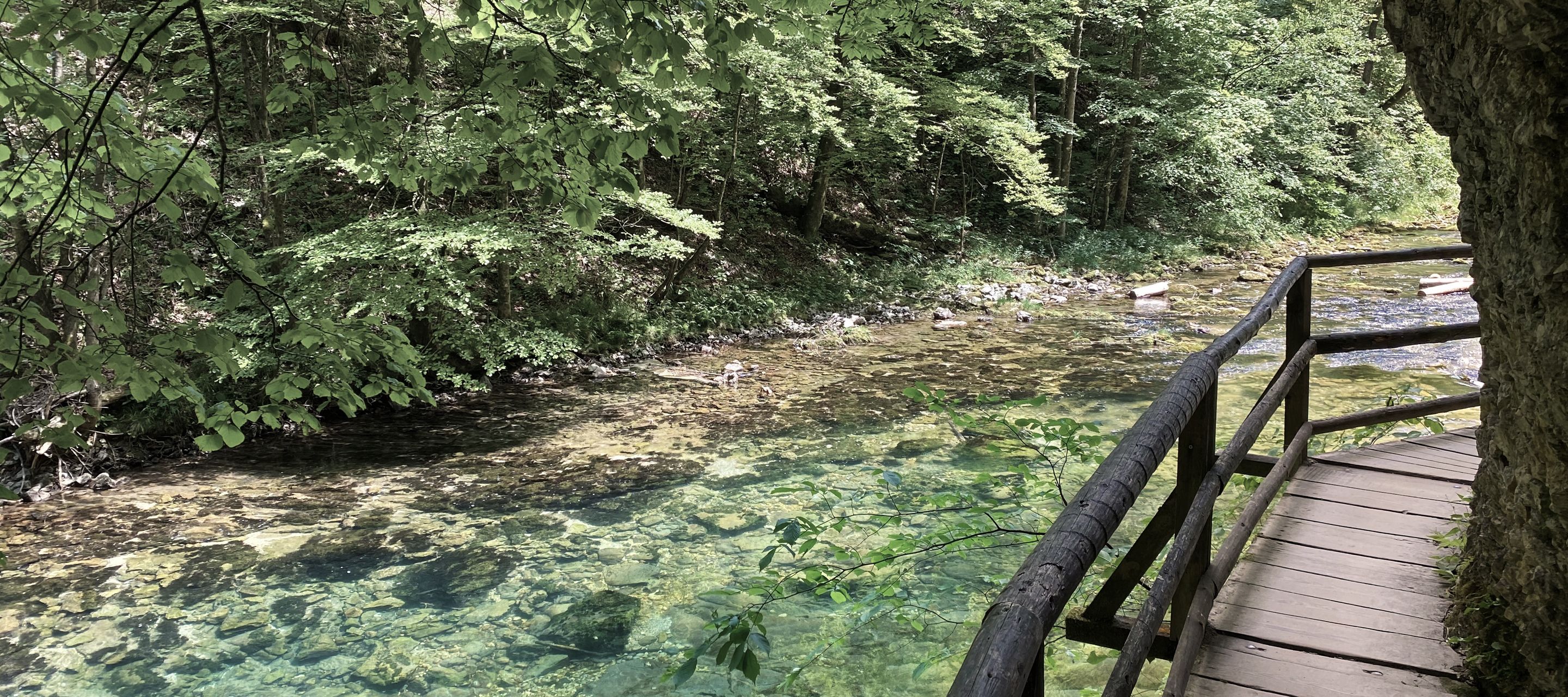 Chemin de randonnée le long des gorges de Vintgar en Slovénie