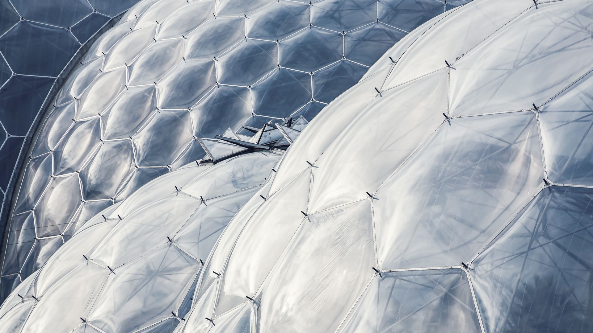 Was sich wohl in diesen futuristischen Bienenwaben befindet?