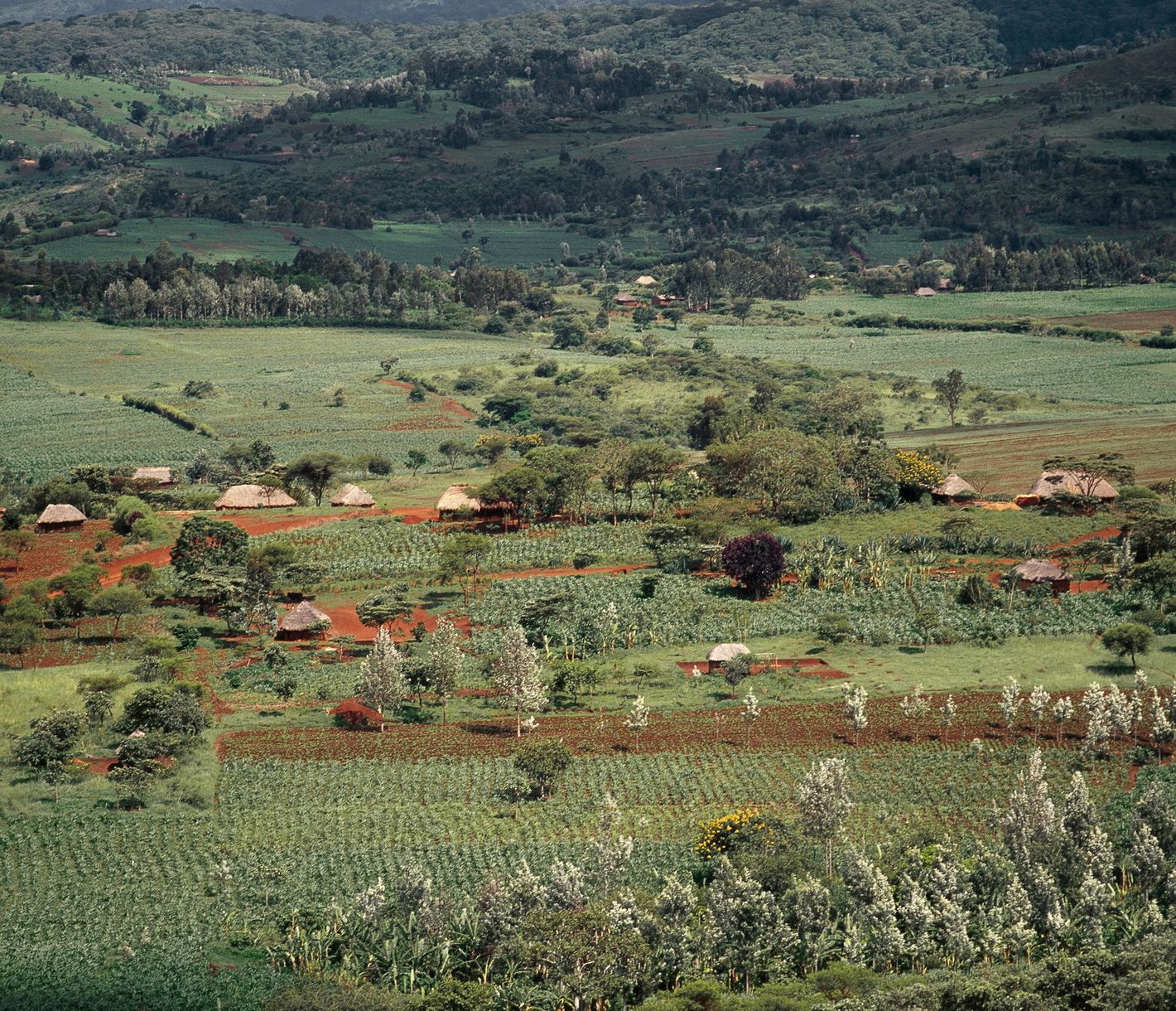 Le paisible petit village de Karatu, porte d'entrée au cratère du Ngorongoro
