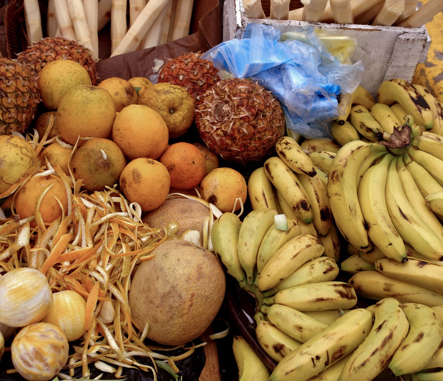 Ein süsser, verführerischer Duft