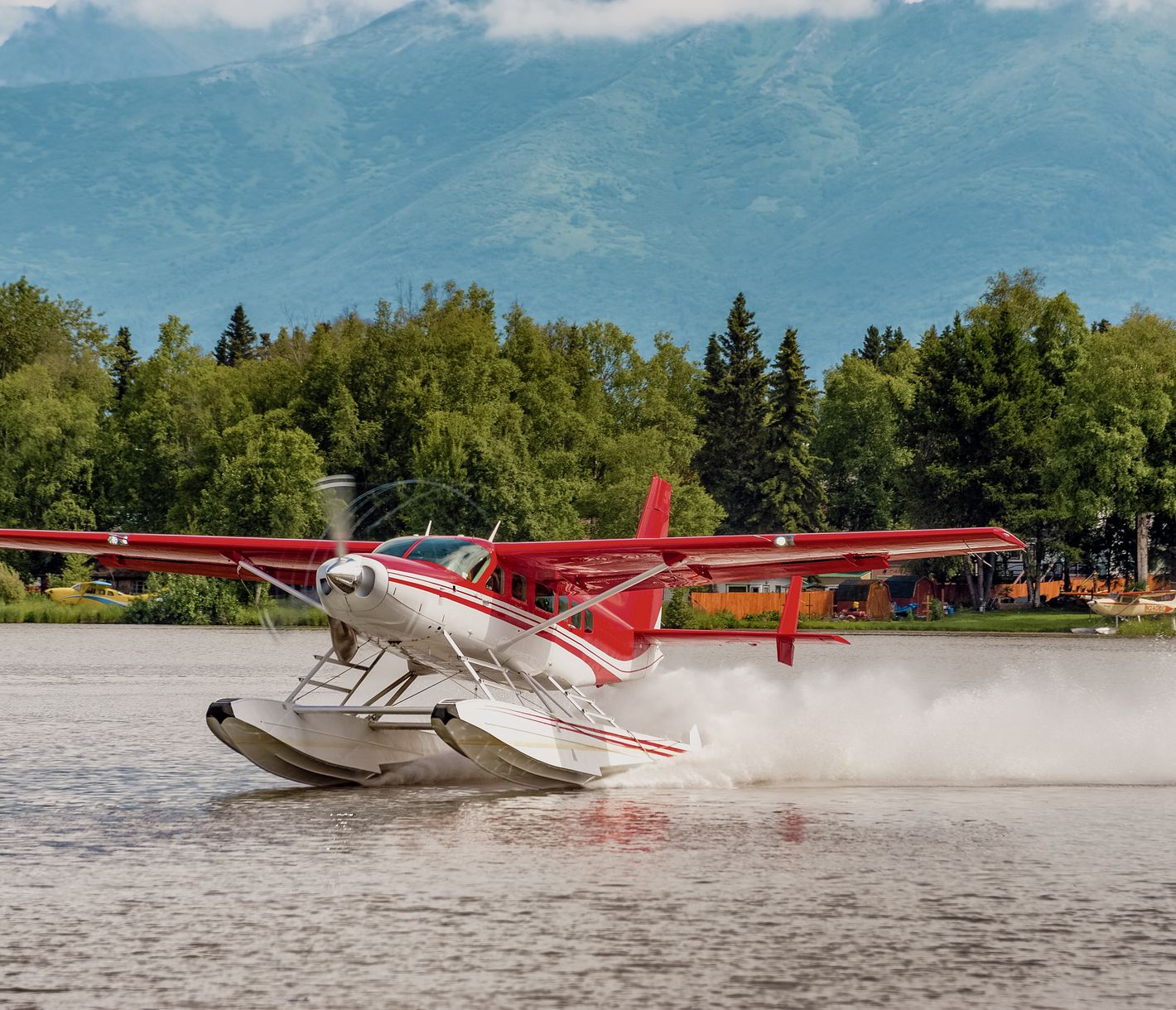 Fortbewegung in der Wildnis.