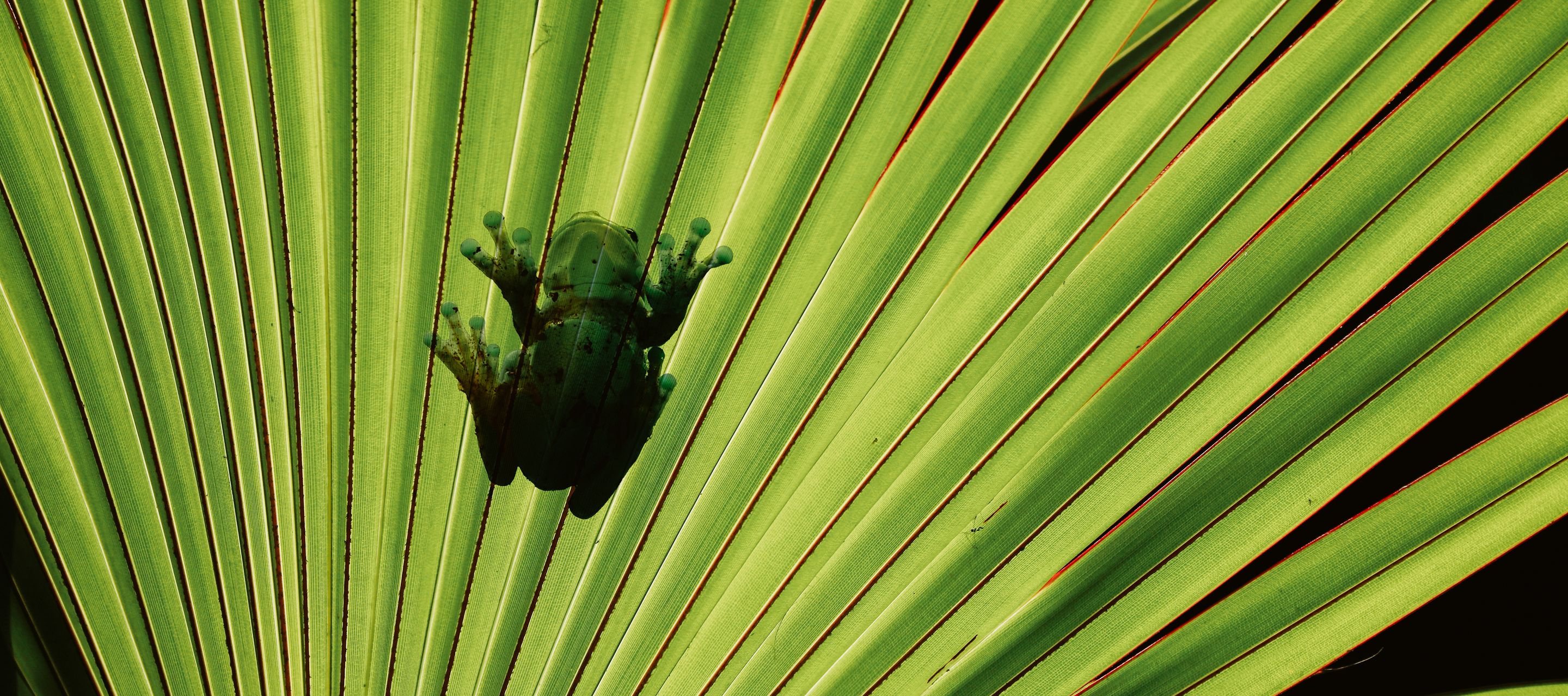 Stets die Augen offen halten.