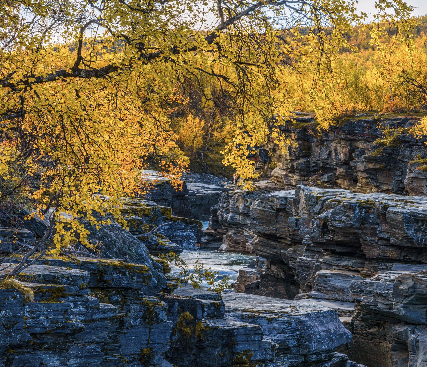 Ein prächtiges Farbenspiel im Canyon