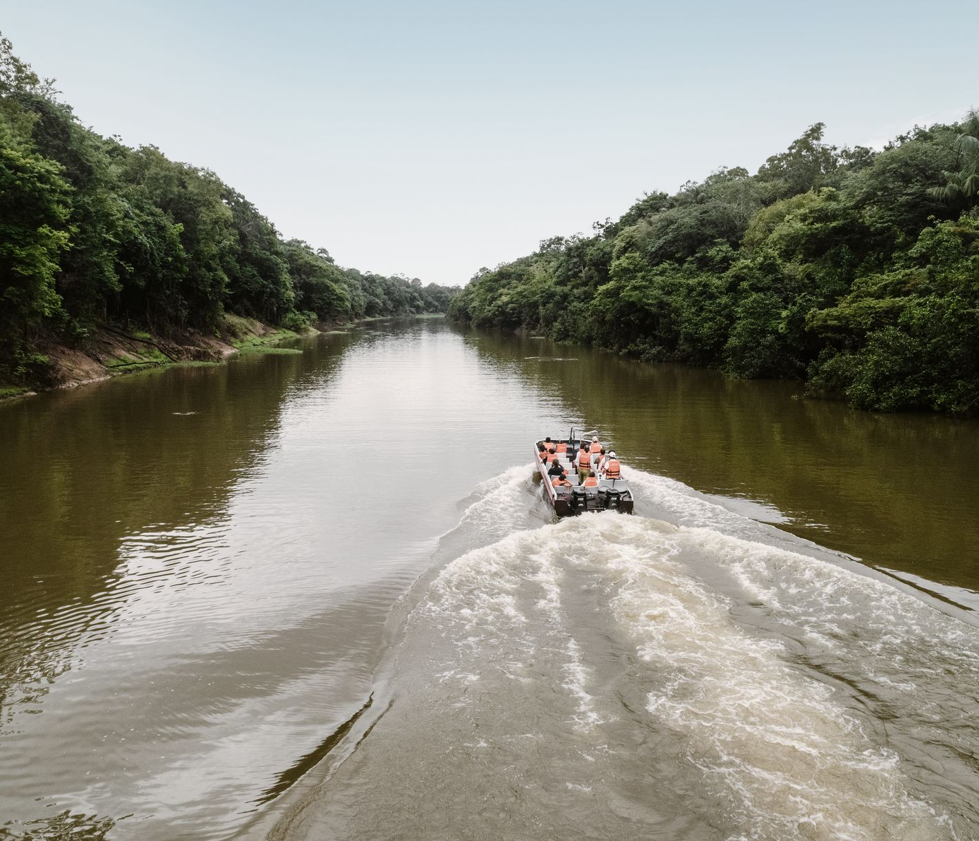  Eintauchen in das Herz des Amazonas, der grünen Lunge des Planeten
