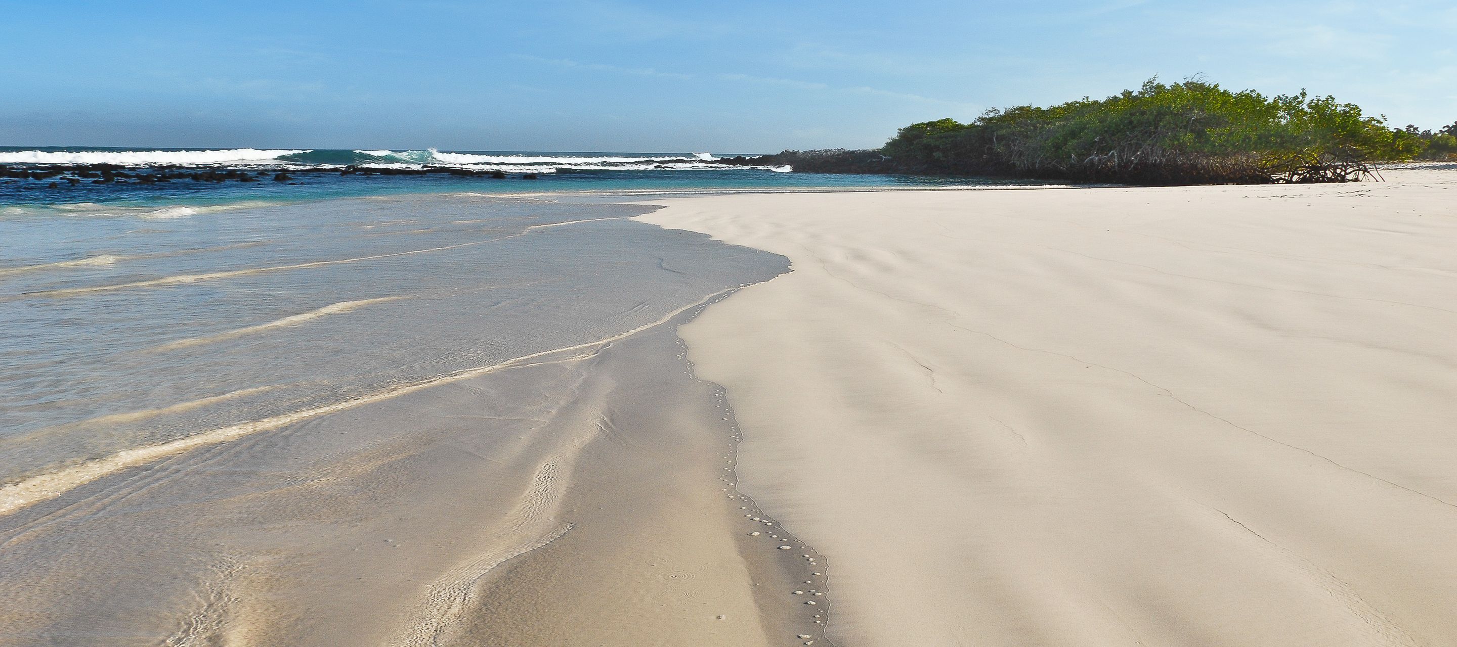 Die Tortuga Bay auf der Insel Santa Cruz – einer der schönsten Strände der Galapagos-Inseln.
