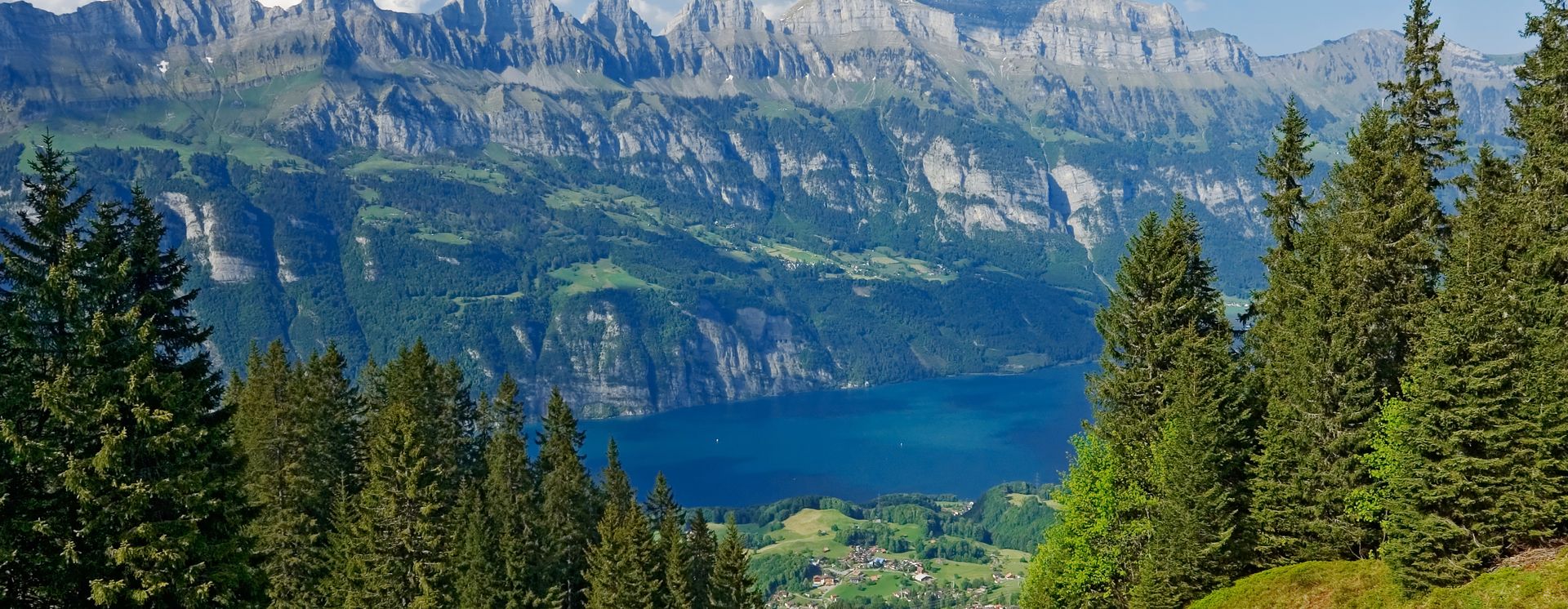 Vue depuis le Flumserberg