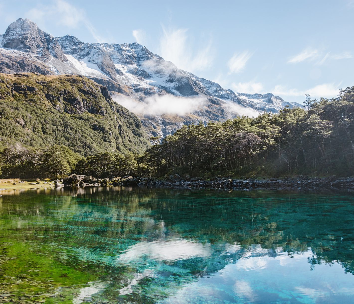 Nelson Lakes National Park