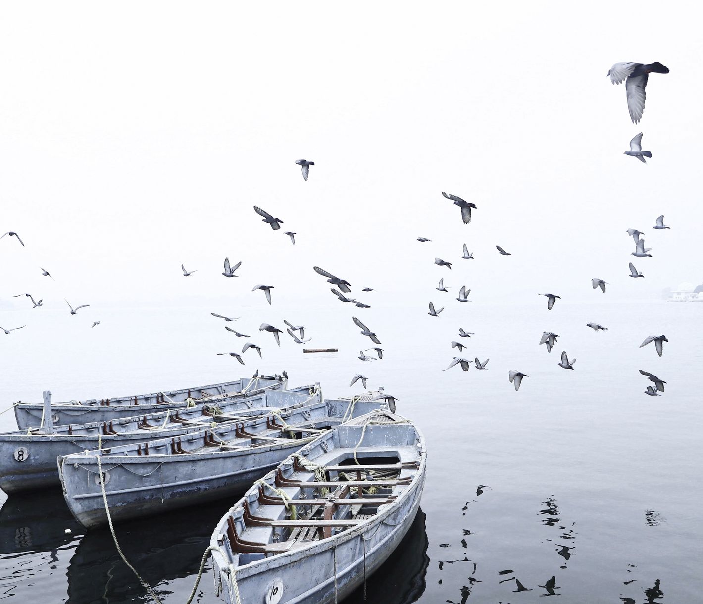 Boote im Fateh-Sagar-See bei Udaipur