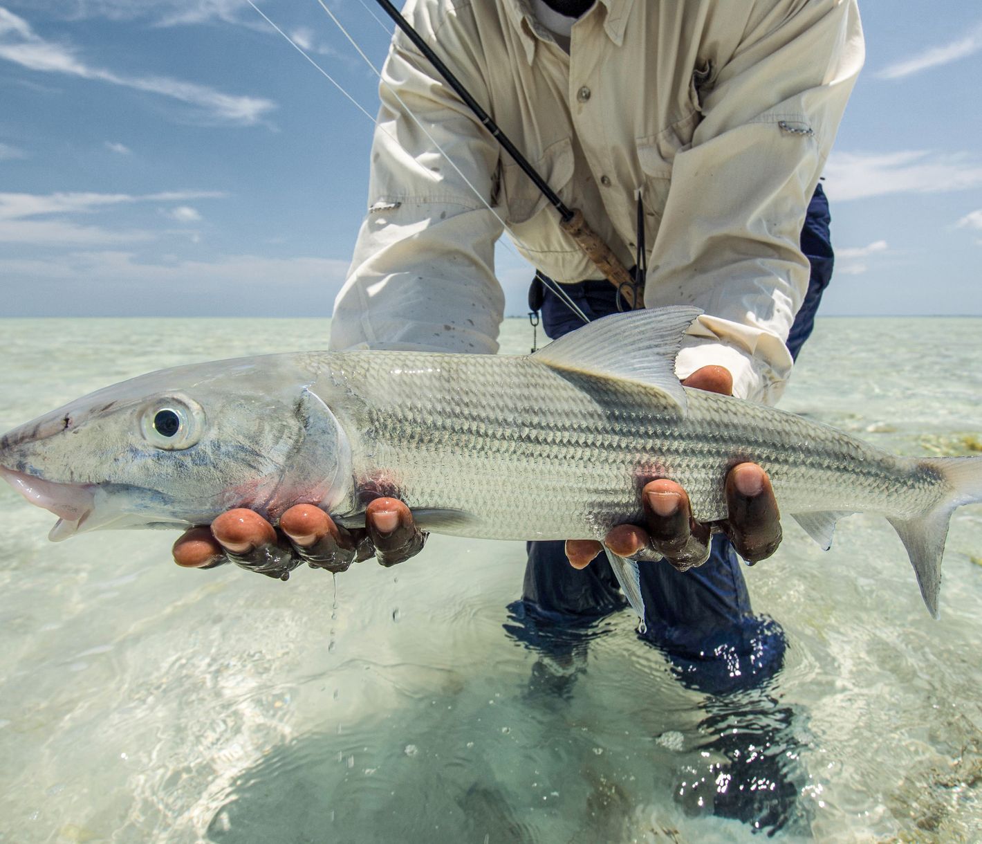 Fischen auf Long Island
