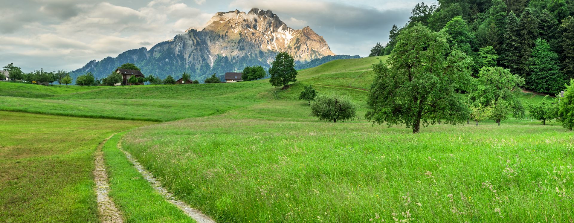 Grüne Landschaft um Luzern