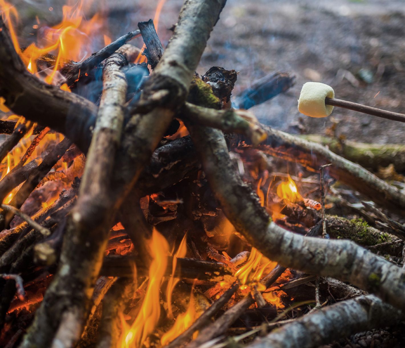 Gemütliche Rastplätze