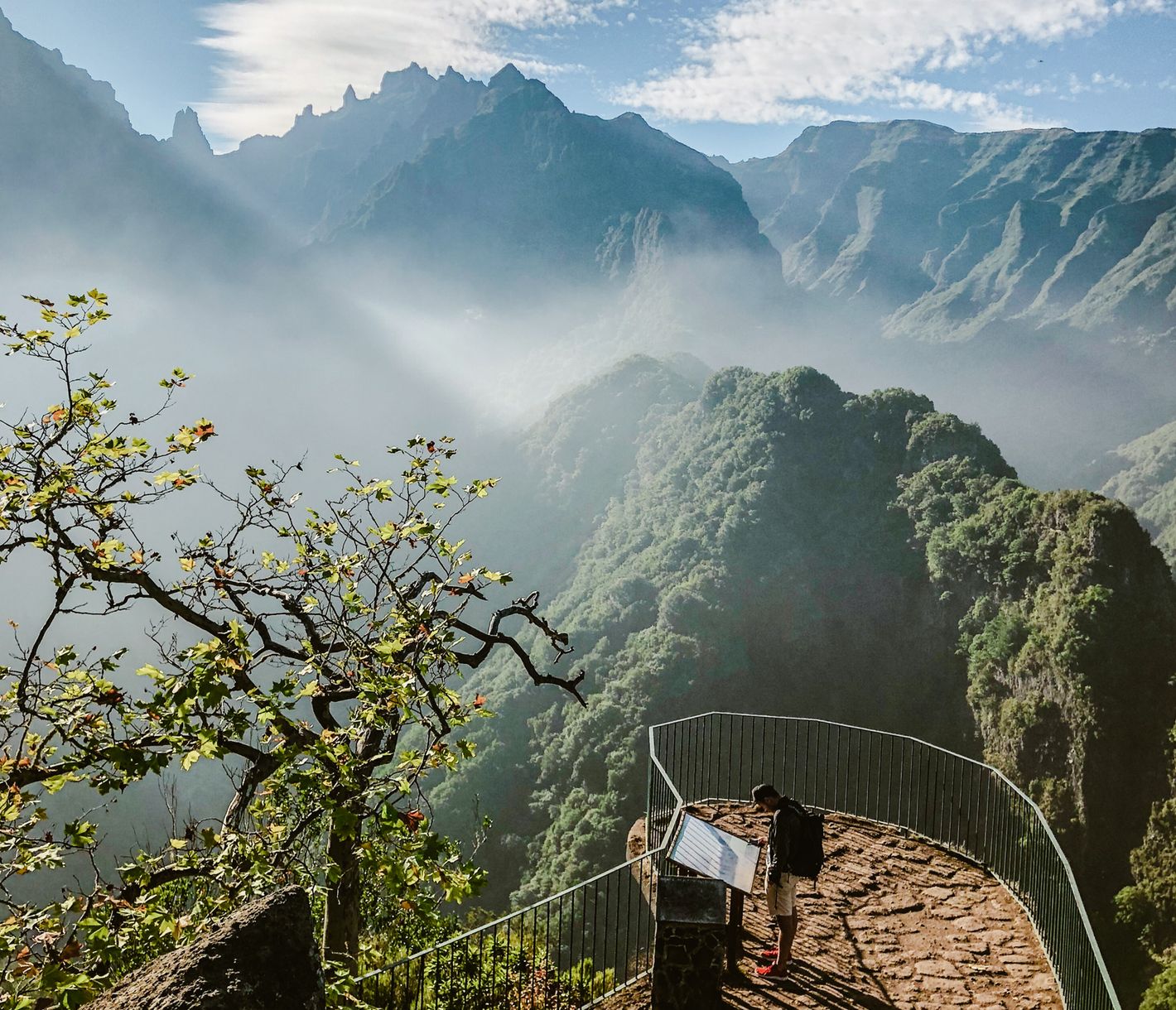 Im Naturpark Ribeiro Frio, Madeira