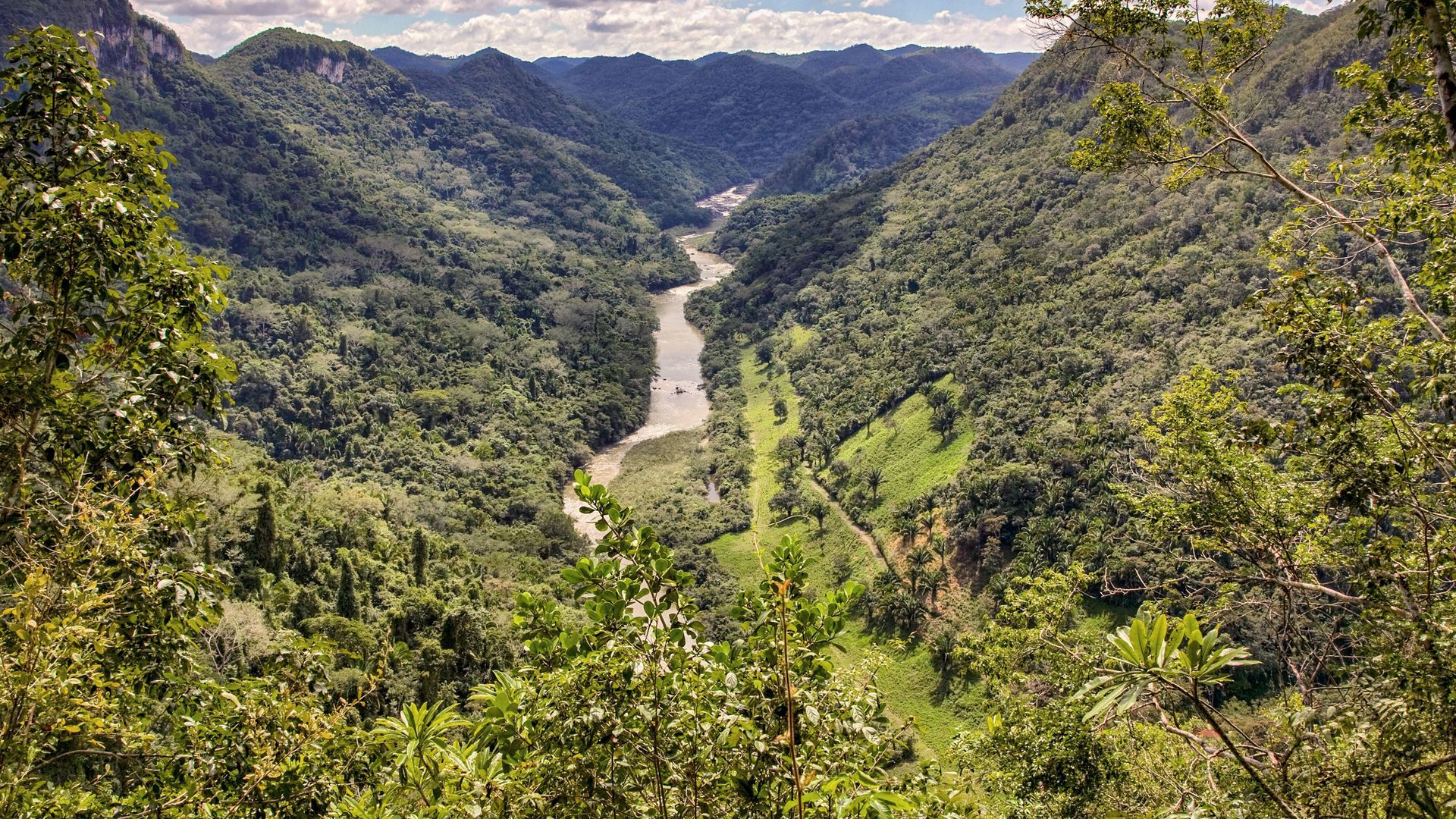 La rivière Macal s'écoule paisiblement au coeur du poumon vert du pays