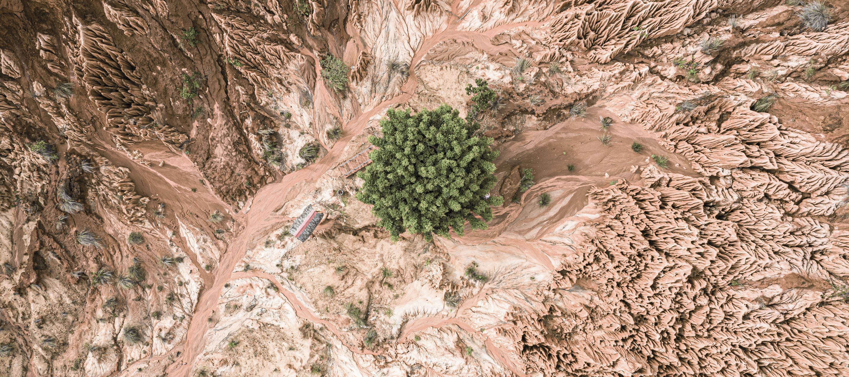 Balade surréaliste dans les étranges Tsingy Rouges