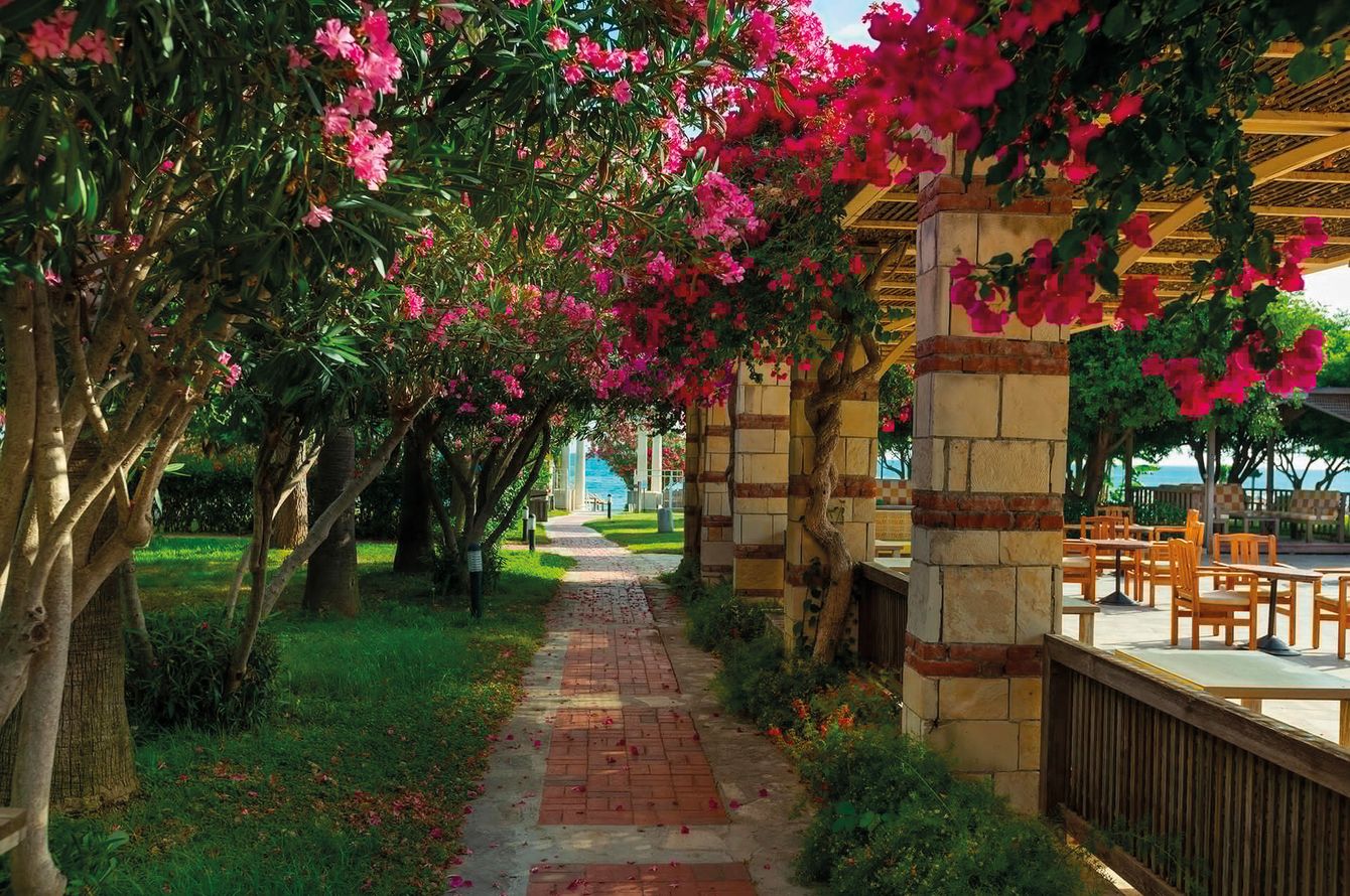 Jardin