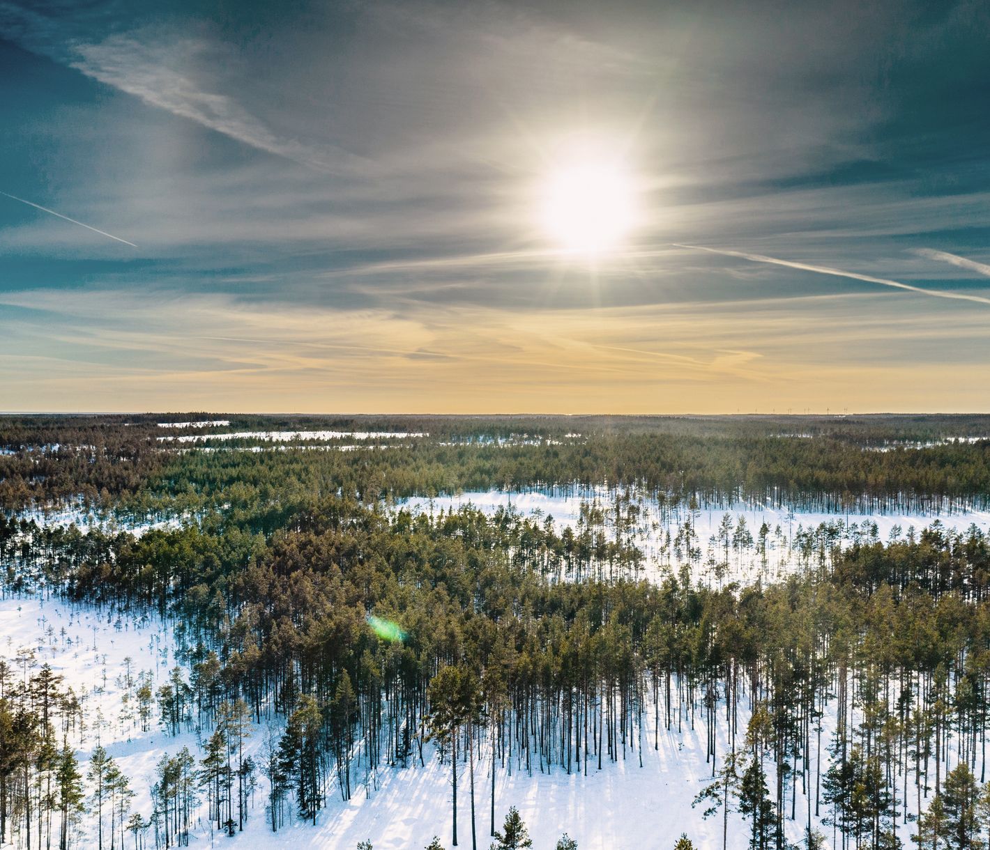 Schneeschuhwanderungen oder Langlauf im Winterwunderland