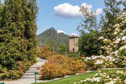 Resort Collina d'Oro