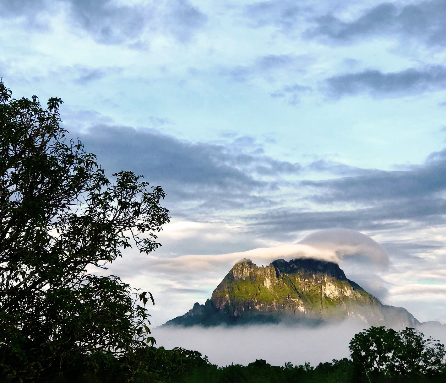 Der majestätische Pico da Neblina