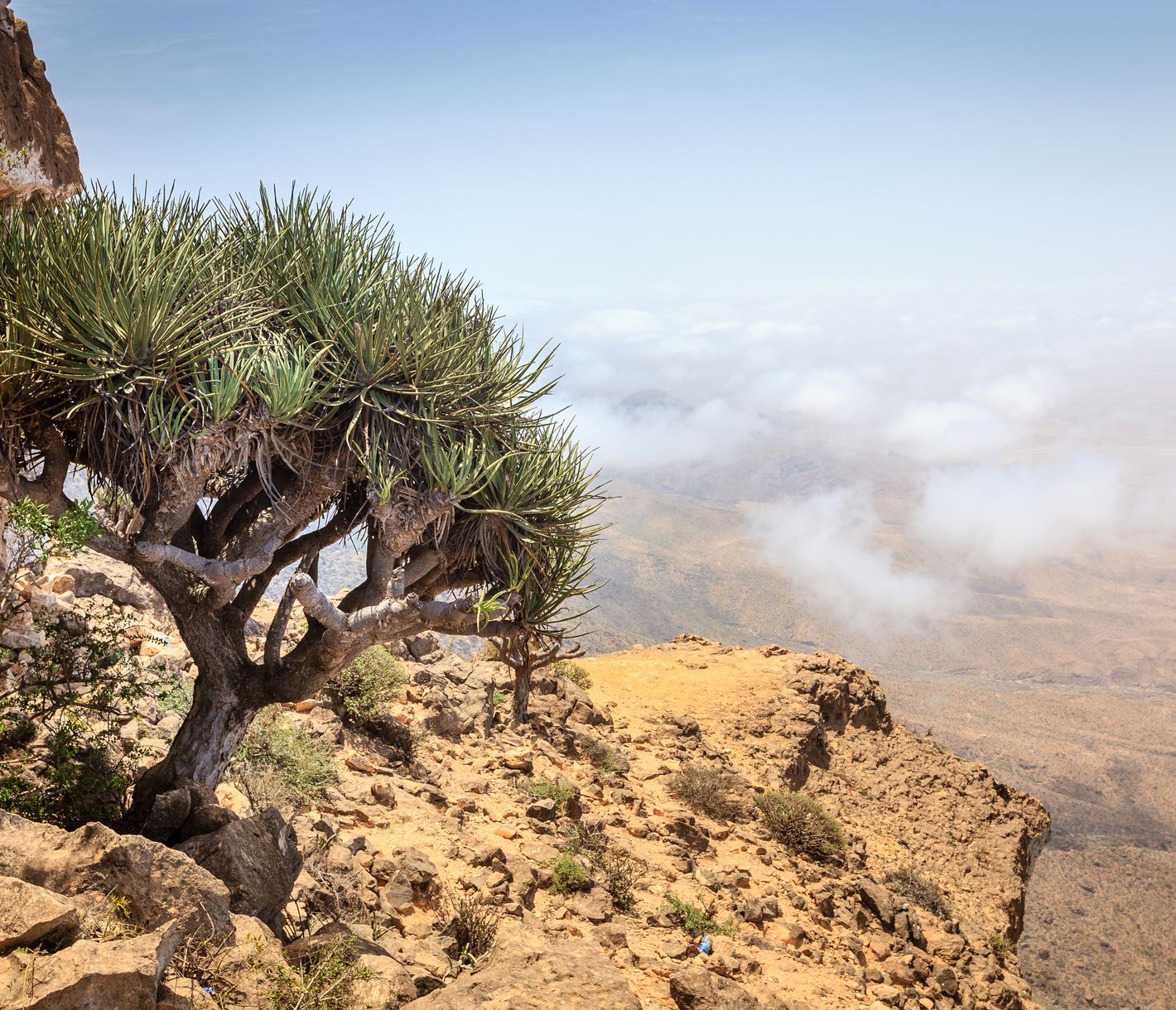 Blick vom Jebel Samhan – Über den Wolken