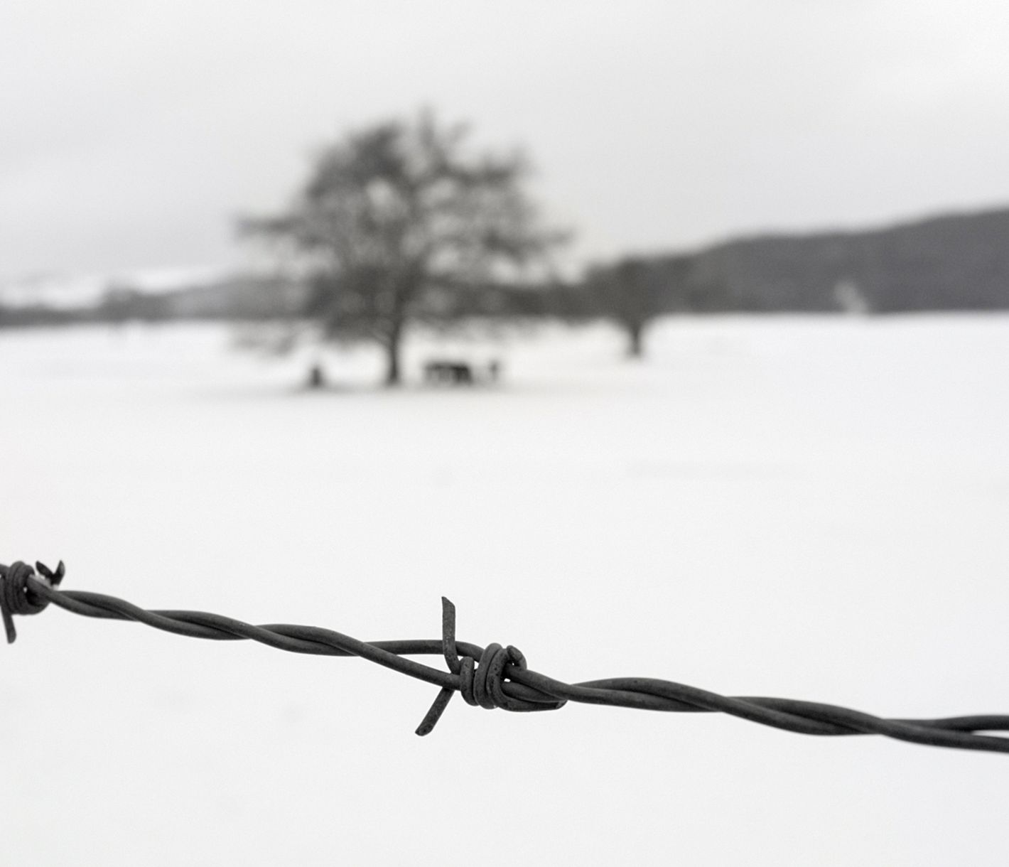  Trauer, Ergriffenheit, Abscheu: Gefühle beim Besuch von Auschwitz-Birkenau