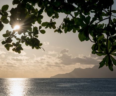 Blick von Mahé auf die vorgelagerte Insel Silhouette
