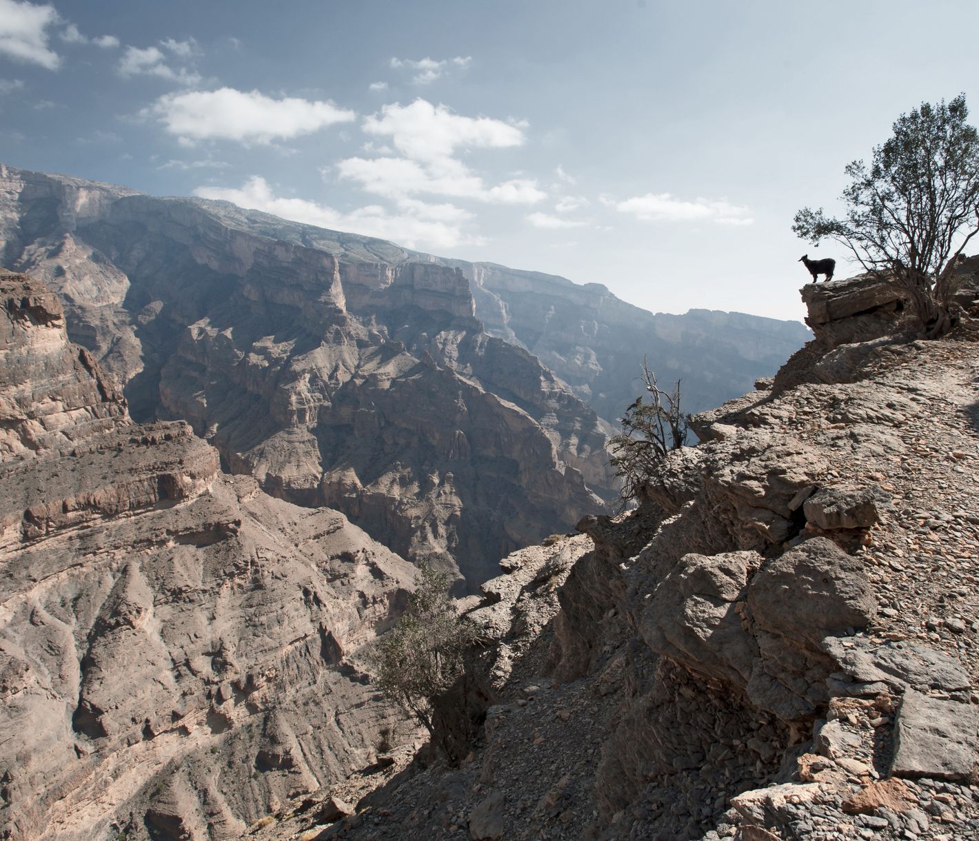 Jebel Shams, point culminant d’Oman et 3e plus grand canyon du monde