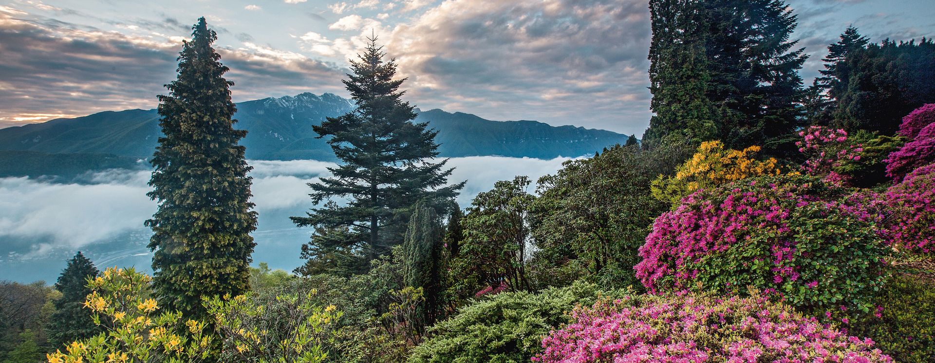 L'éveil du printemps dans les montagnes