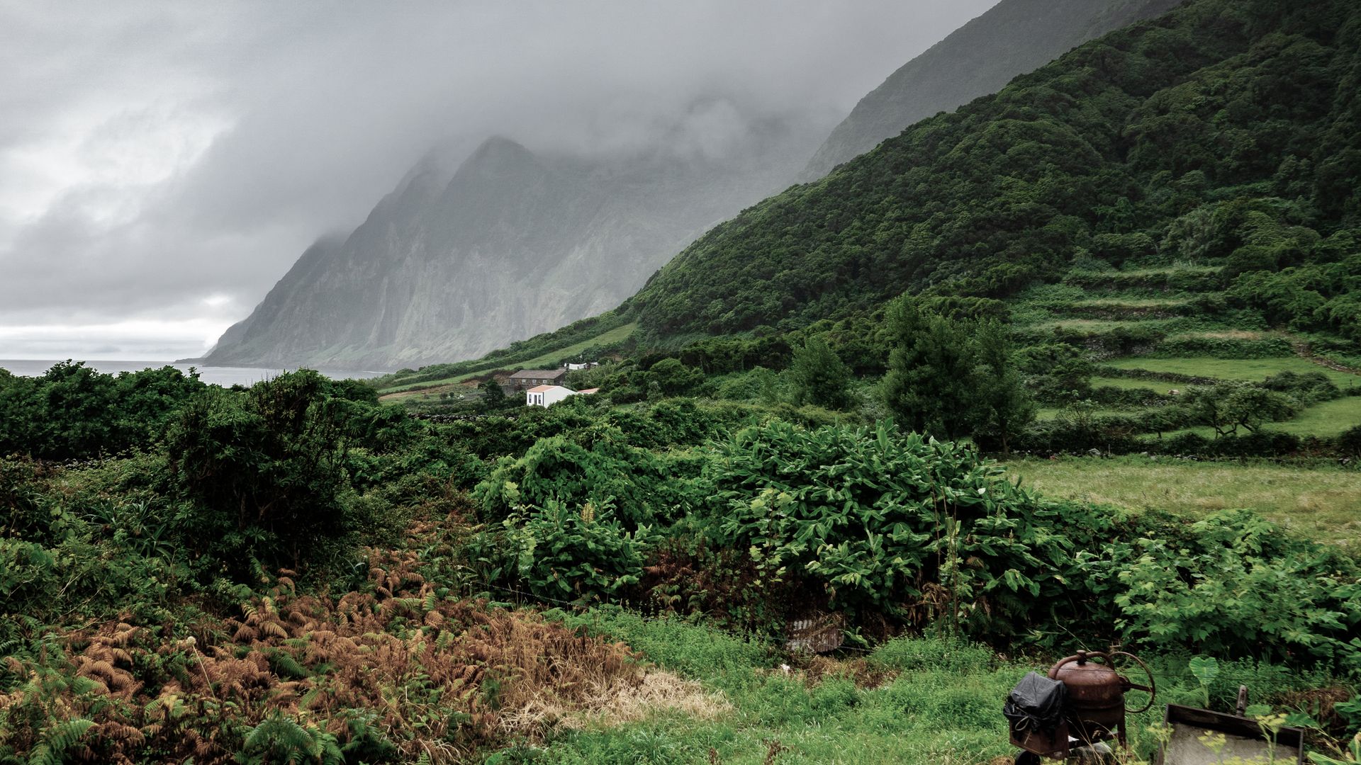 Steile Klippen auf São Jorge