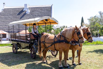 14. Bild der Unterkunft