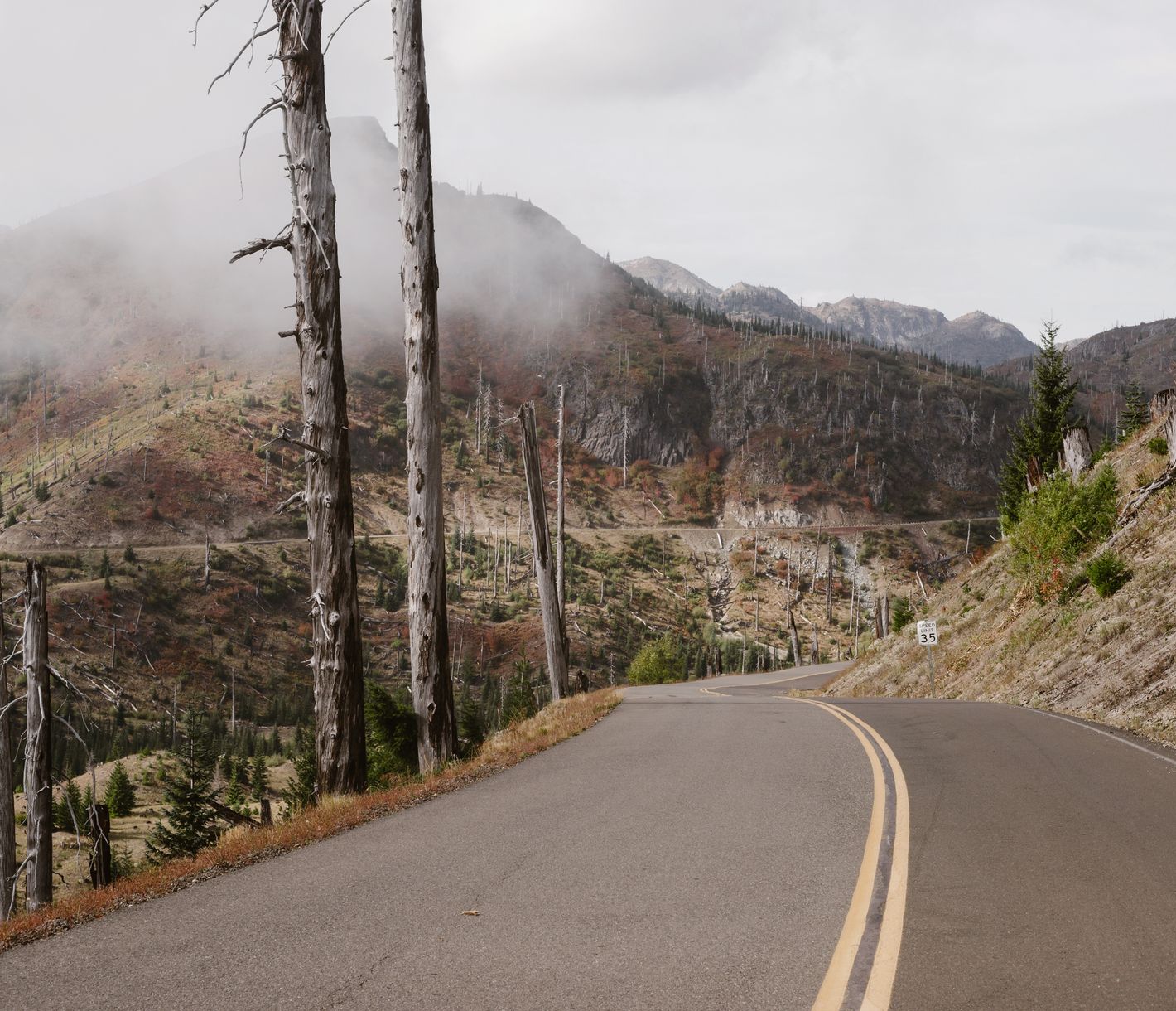 Zugangsstrasse zum Mount St. Helens mit Zeichen des Vulkanausbruchs